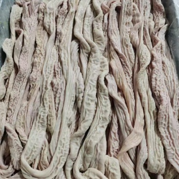 精品熟小肠