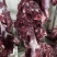 牛肉，冷鲜牛肉国产鲜牛肉口感厂家直销，诚信经营。