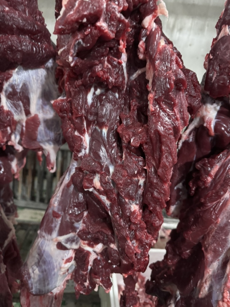 牛肉，冷鲜牛肉国产鲜牛肉口感厂家直销，诚信经营。