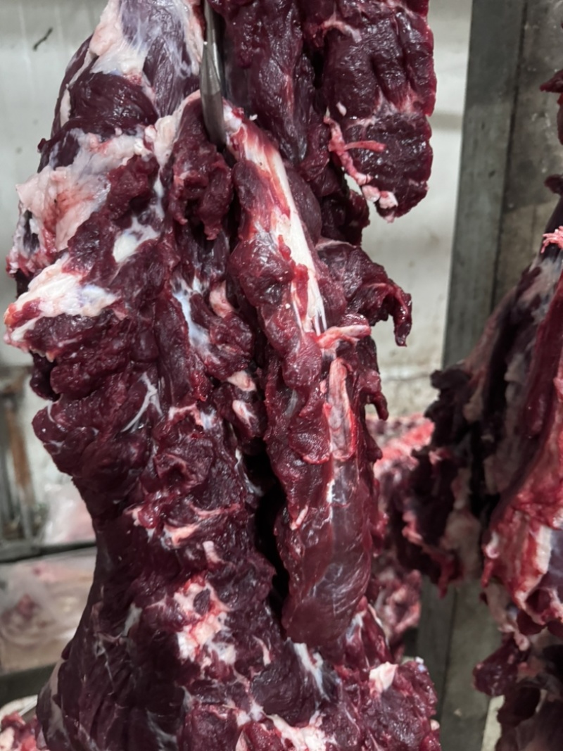 牛肉，冷鲜牛肉国产鲜牛肉口感厂家直销，诚信经营。