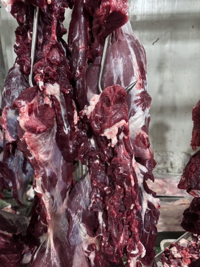 牛肉，冷鲜牛肉国产鲜牛肉口感厂家直销，诚信经营。