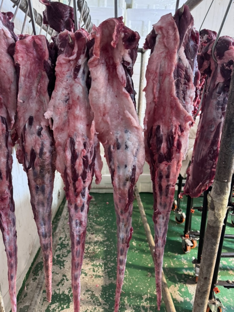 牛肉，冷鲜牛肉国产鲜牛肉口感厂家直销，诚信经营。