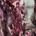 牛肉，冷鲜牛肉国产鲜牛肉口感厂家直销，诚信经营。