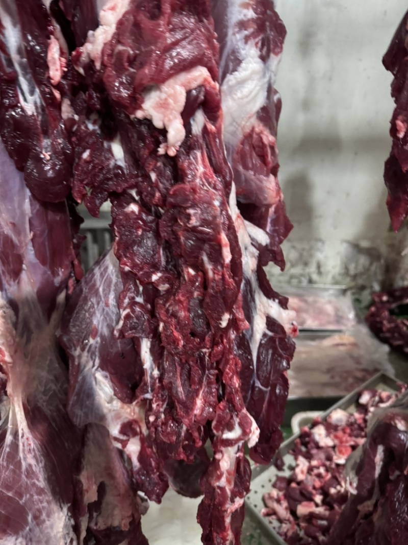 牛肉，冷鲜牛肉国产鲜牛肉口感厂家直销，诚信经营。