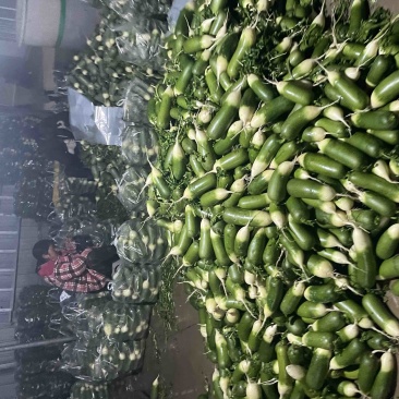 需要的朋友可以联系我