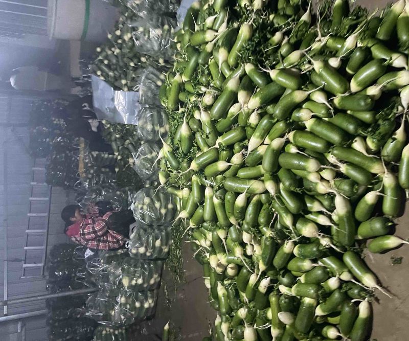 需要的朋友可以联系我