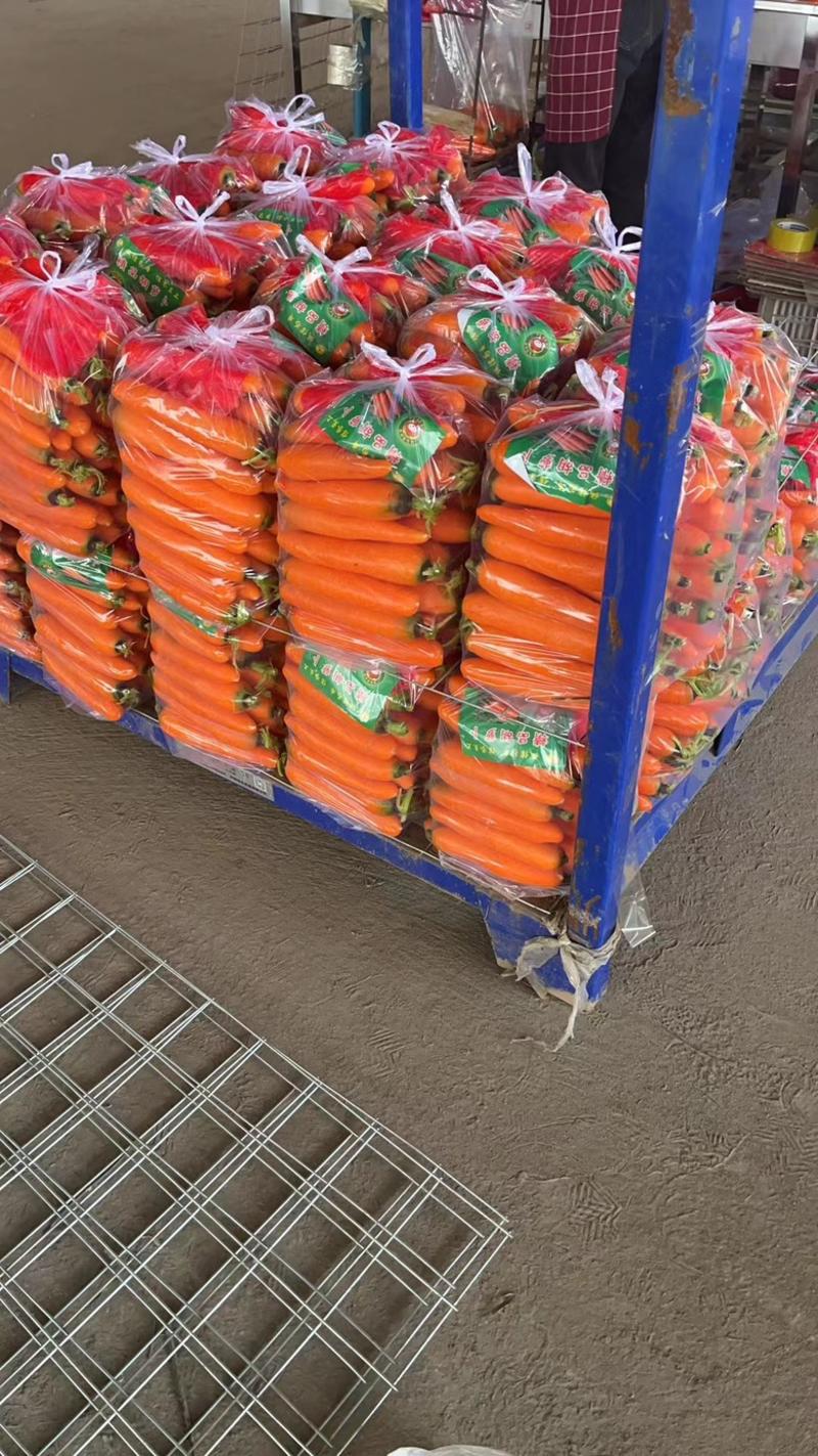 福建翔安区精品胡萝卜中条大条商超供货各种规格