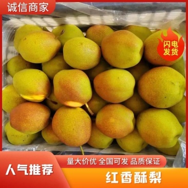 红香酥梨/皮薄汁水多核小，自然成熟，礼盒香梨香梨欢迎咨询