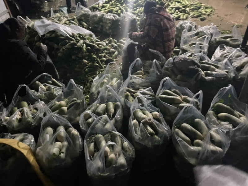 需要的朋友可以联系我