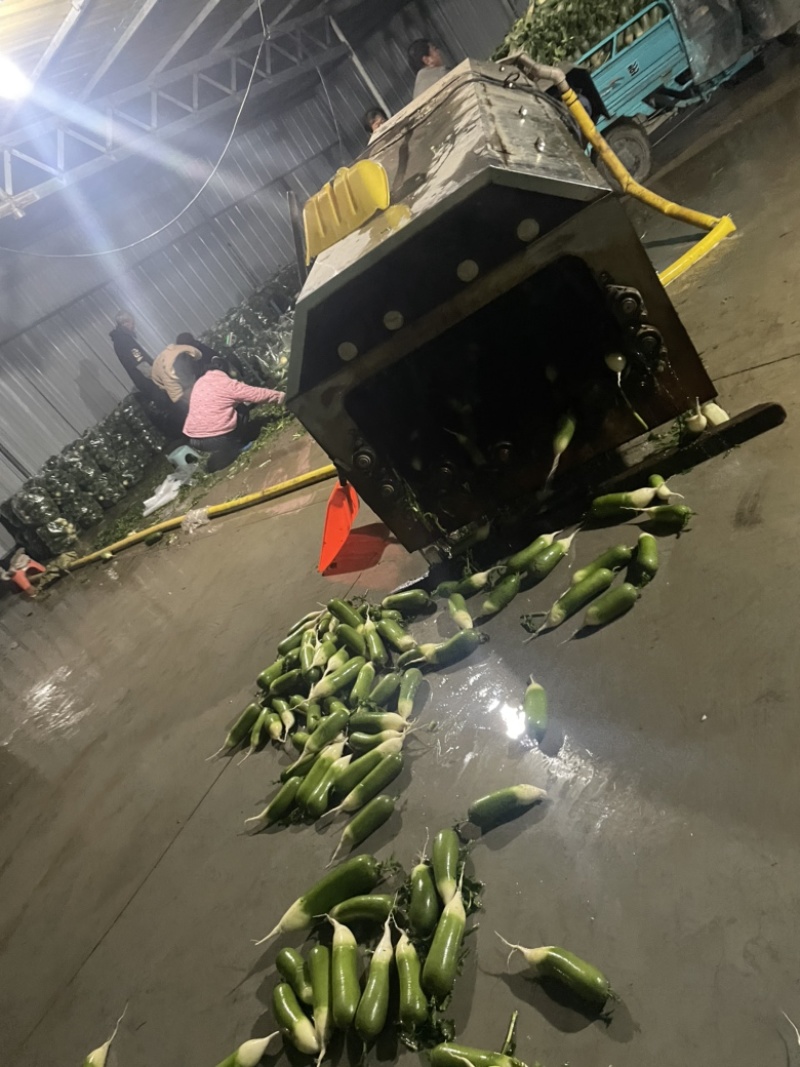 需要的朋友可以联系我