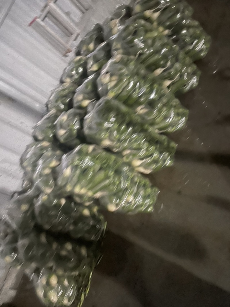 需要的朋友可以联系我