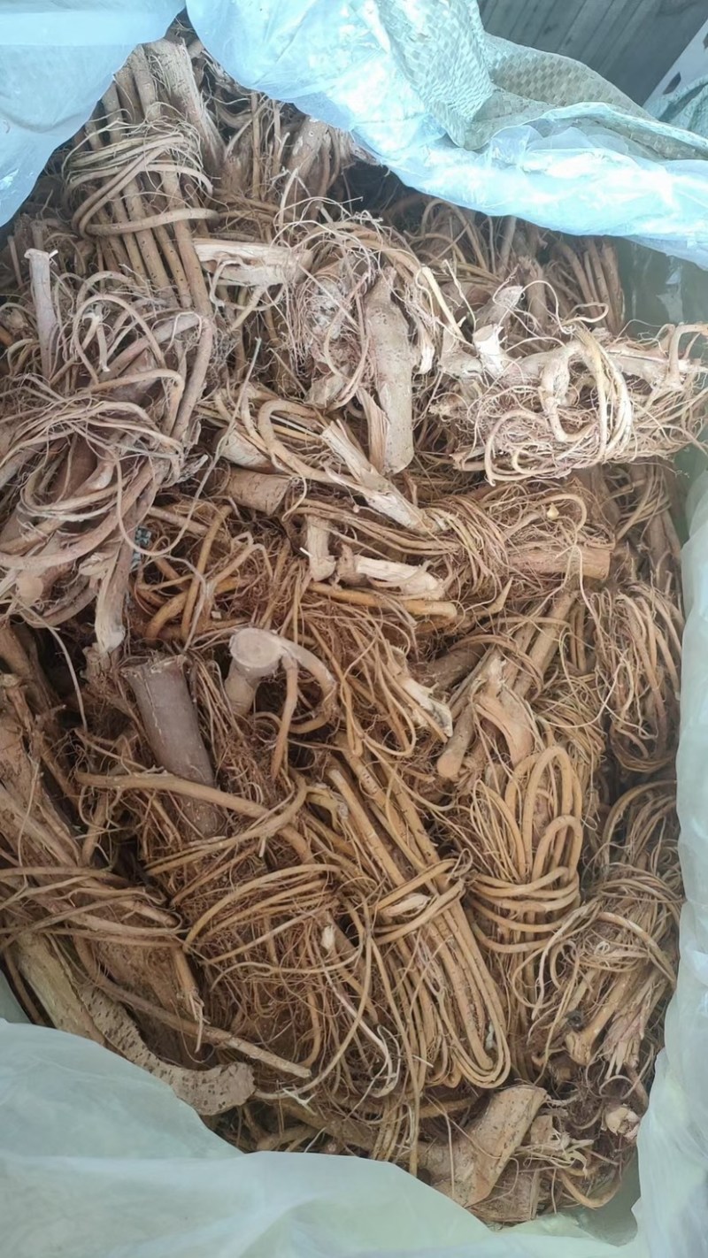 【推荐】工厂直发精品白花牛奶根一手货源价优可看货