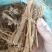 【推荐】工厂直发精品白花牛奶根一手货源价优可看货