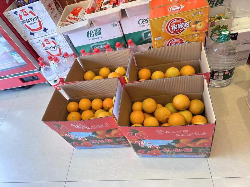 精品纽荷尔脐橙基地直发品质保证量大从优