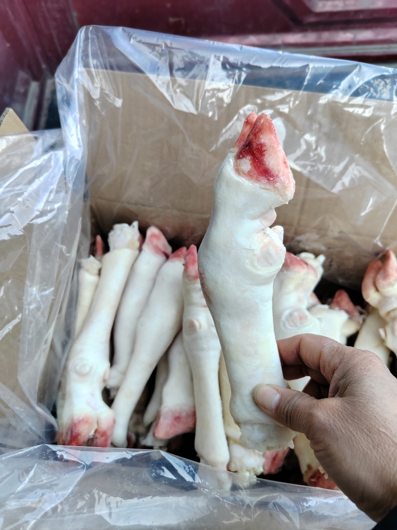 水褪不抽筋羊蹄不加水无冰大中小号支持样品