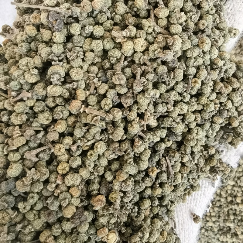 吴茱萸新货浙江小花关书药材批发各种规格中药