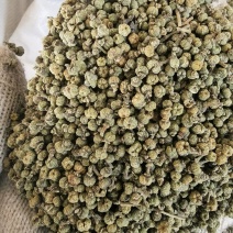吴茱萸青色江西中花吴茱萸中颗粒关书药业