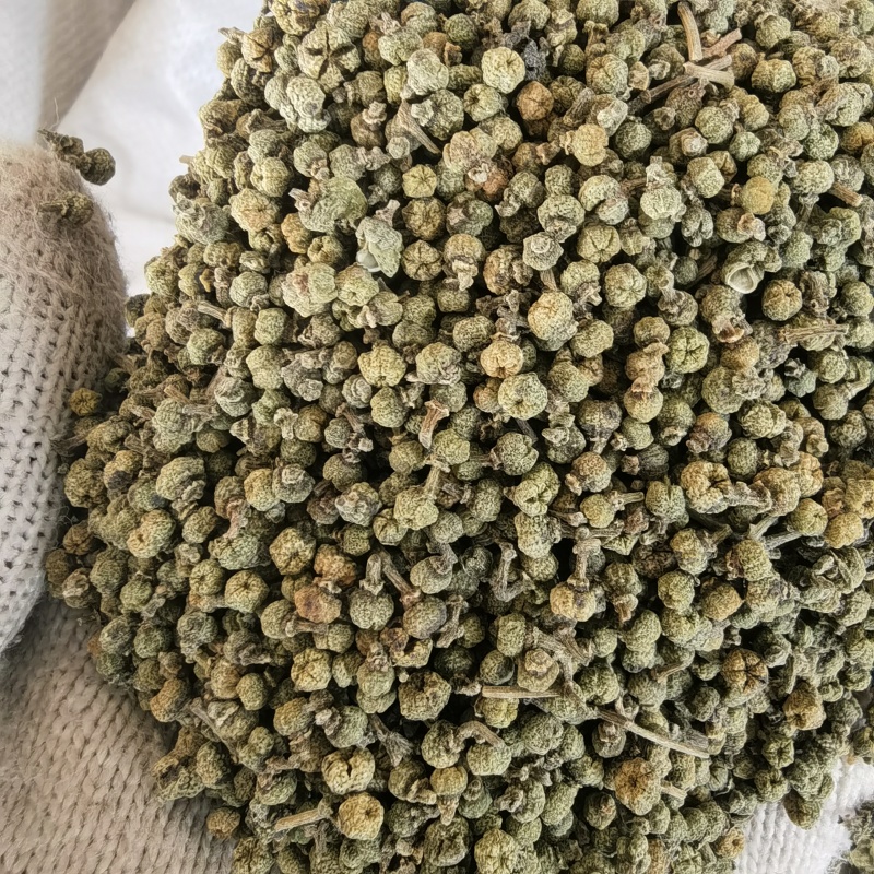 吴茱萸青色江西中花吴茱萸关书药业