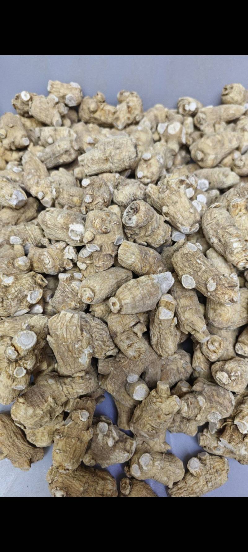 特价西洋参，足干货，价格合理，需要的老板速度联系