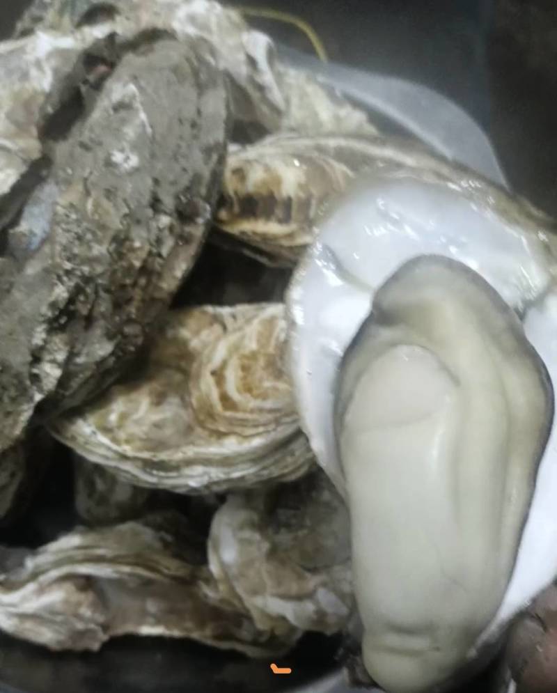 大家好，我是山东日照的，给大家介绍一下产品生蚝，大量有货
