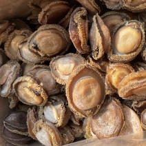 南非干鲍溏心鲍鲍鱼规格齐全详情私聊