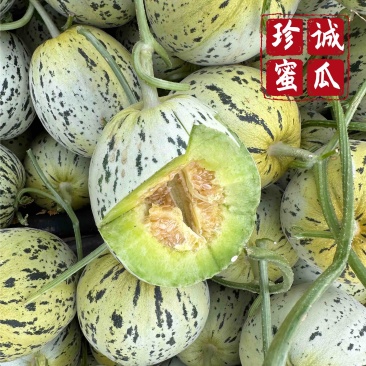 花美人甜瓜花蕾甜瓜口感好甜度高保熟保甜专业供应