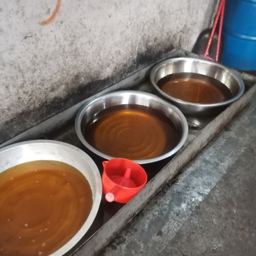 广西特产山茶油