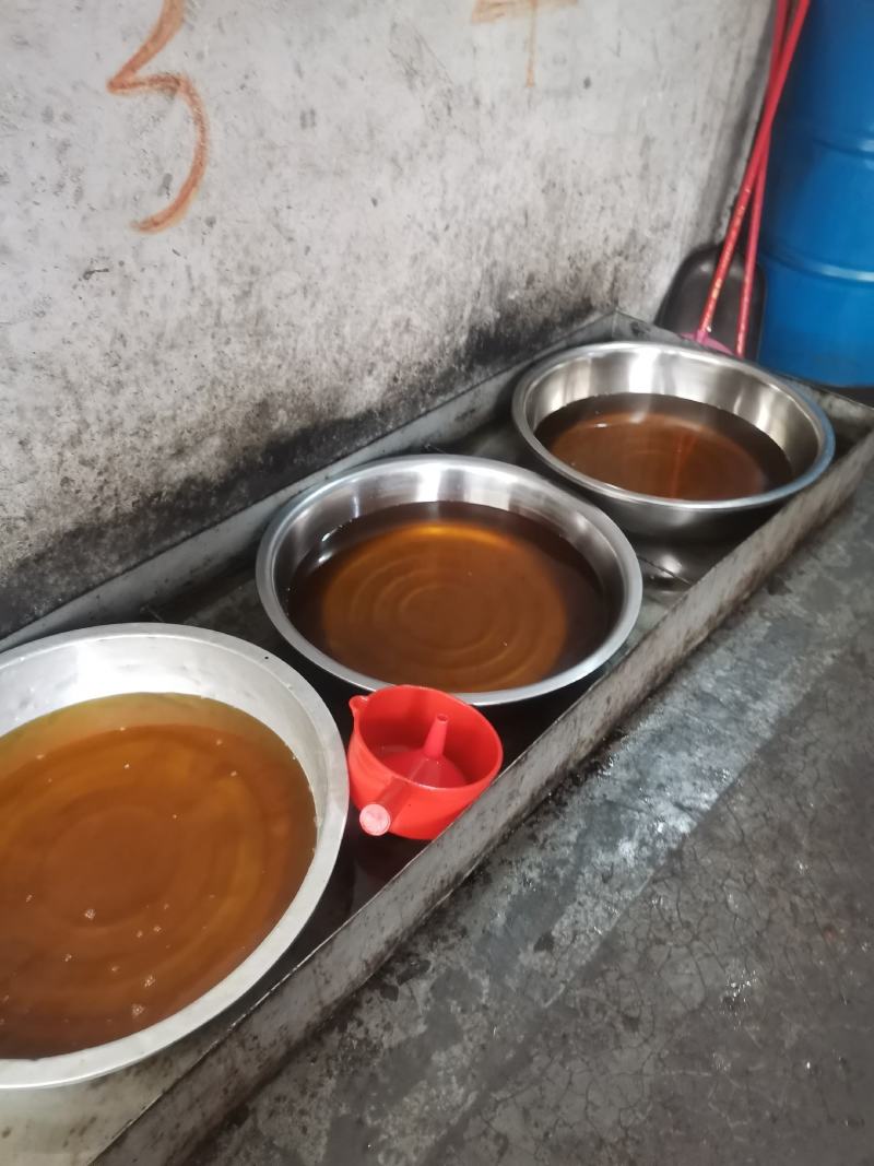 广西特产山茶油