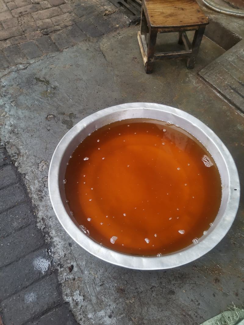 广西特产山茶油