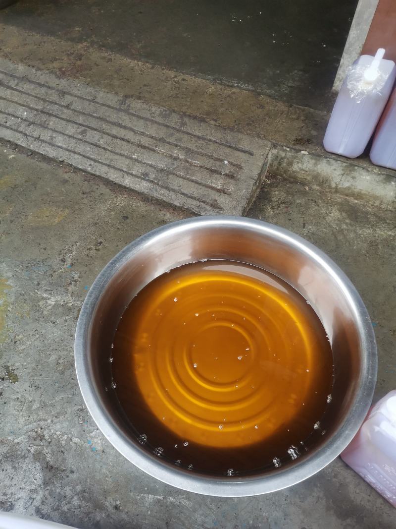 广西特产山茶油