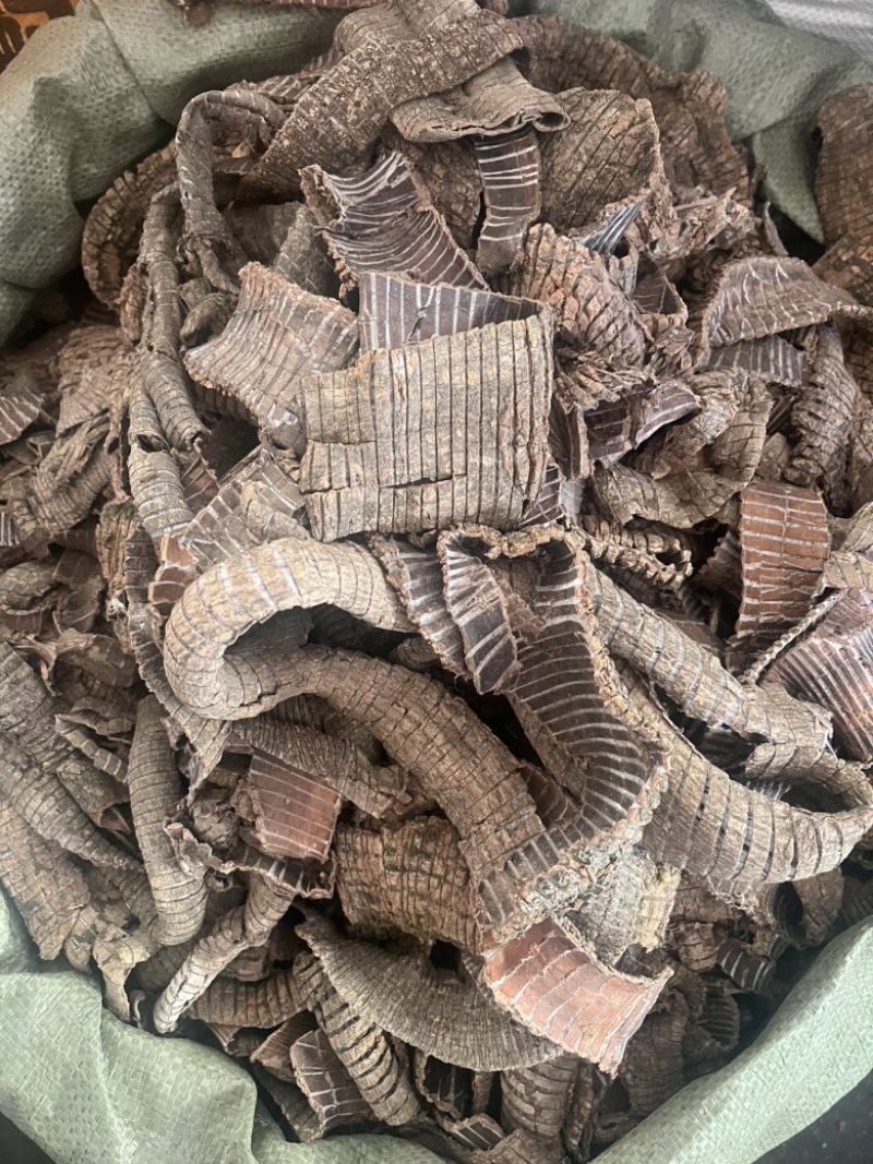 杜仲皮小丝方块丝方块制杜仲各种规格