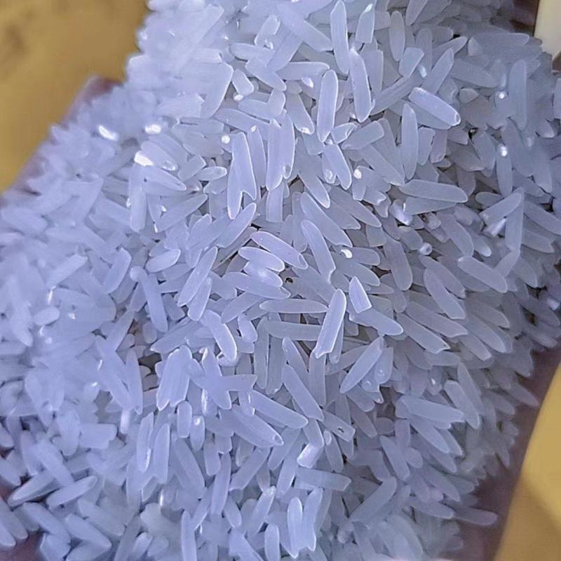 象牙香农家米大米香米500斤起批量大从优欢迎联系厂家货源