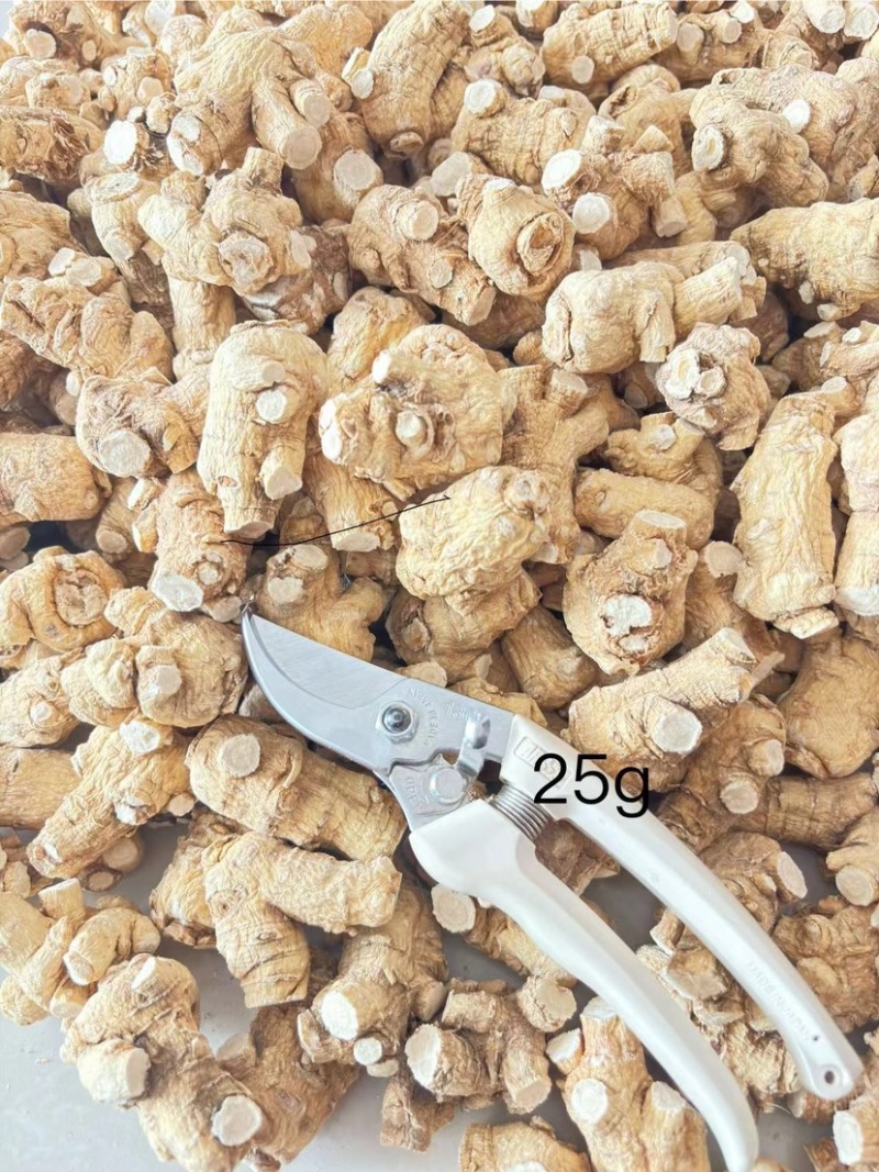 精品西洋参丁，东北人参产地直发品质保障一手货源