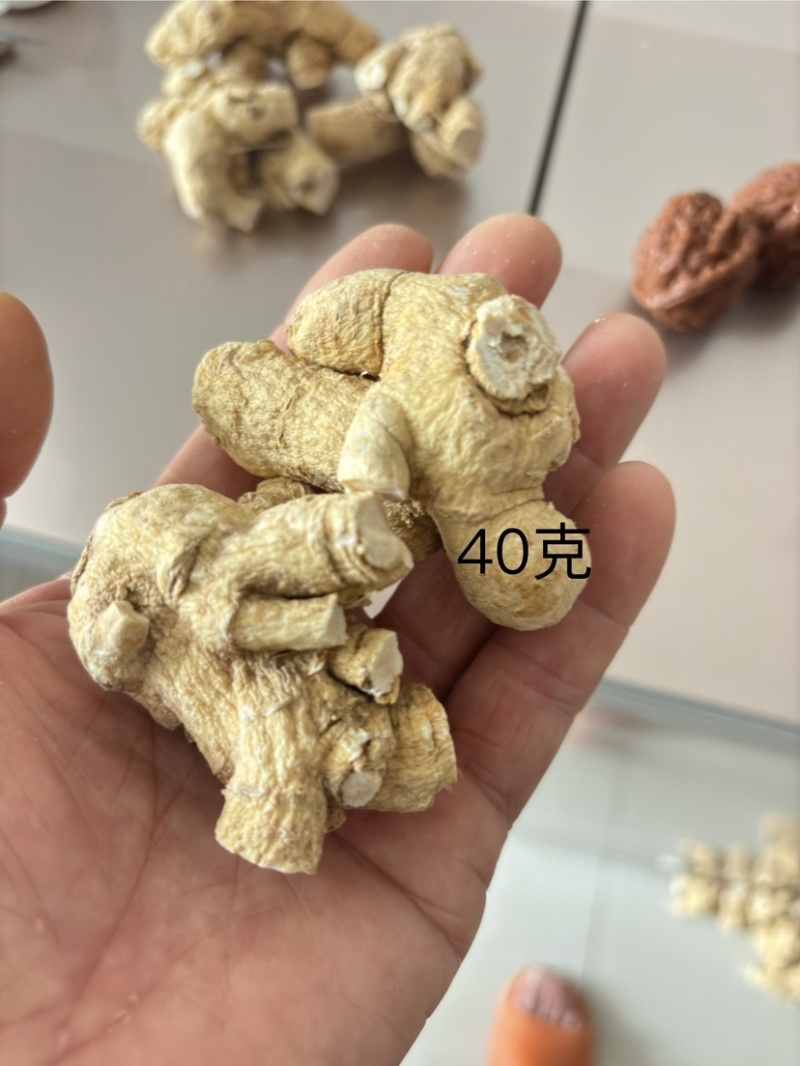 精品西洋参丁，东北人参产地直发品质保障一手货源