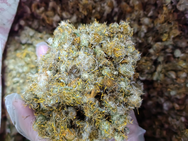 旋覆花野生大货