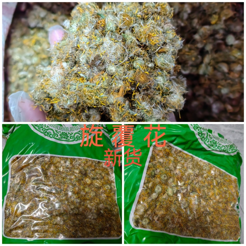 旋覆花野生大货