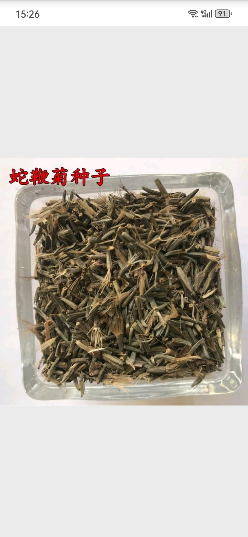 多年生观花种子蛇鞭菊种子春秋播种景观绿化花籽切花花卉草花