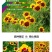 蛇目菊种子花种籽子四季播种开花易活花籽室内外阳台庭院花种