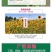 蛇目菊种子花种籽子四季播种开花易活花籽室内外阳台庭院花种
