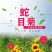 蛇目菊种子花种籽子四季播种开花易活花籽室内外阳台庭院花种