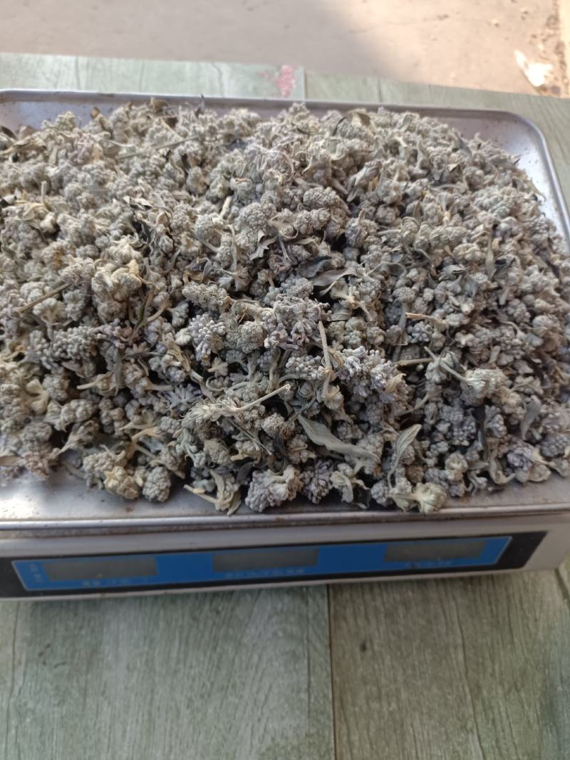 中药材，野生迷蒙花新货正品