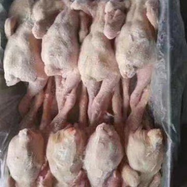 西装鸡14，16，17，18，20，23直腿盘腿规格齐全