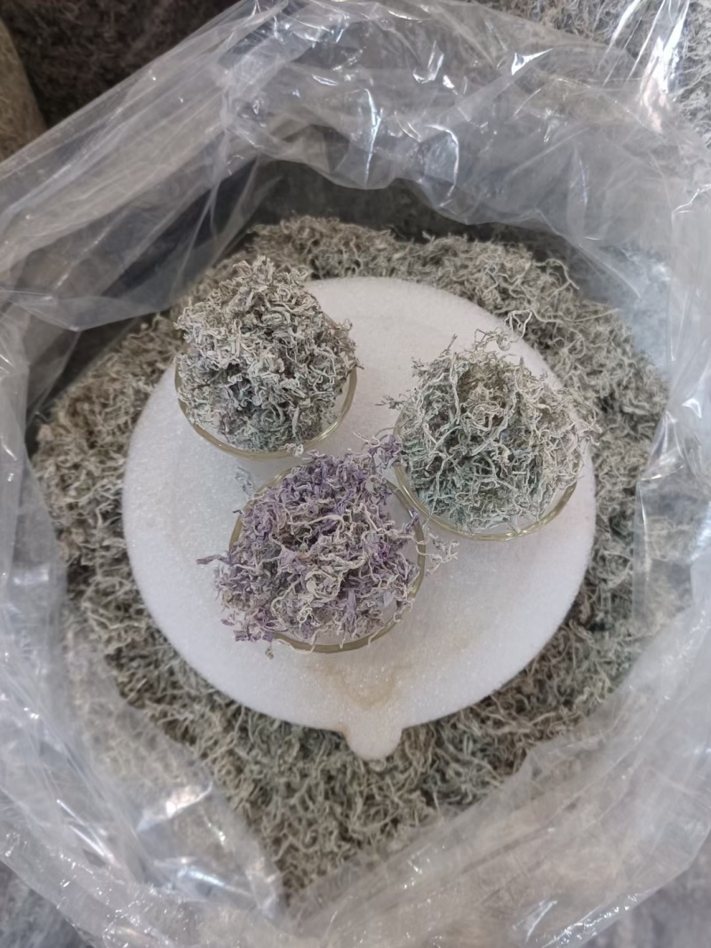 湖南湘西永顺藤茶/莓茶