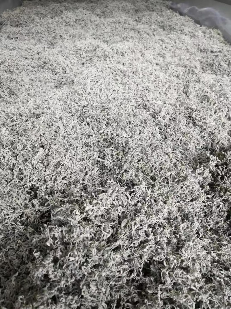 湖南湘西永顺藤茶/莓茶