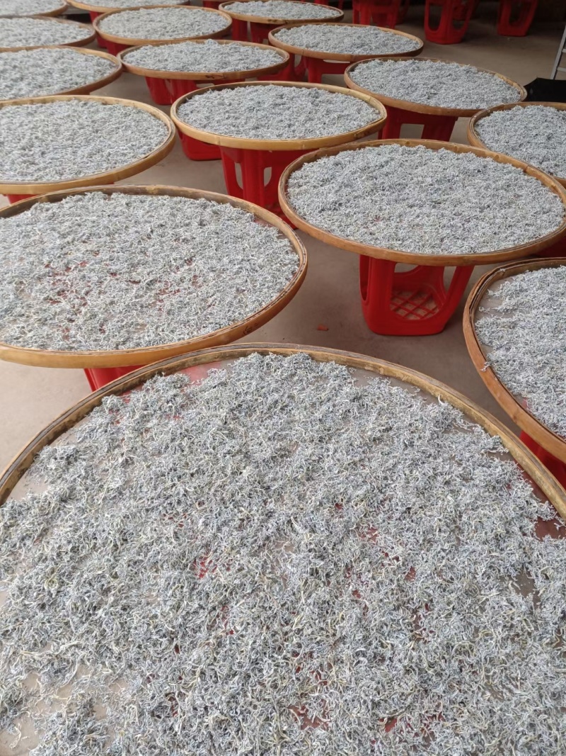 湖南湘西永顺藤茶/莓茶