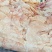 肉鸡鸡腿碎皮
