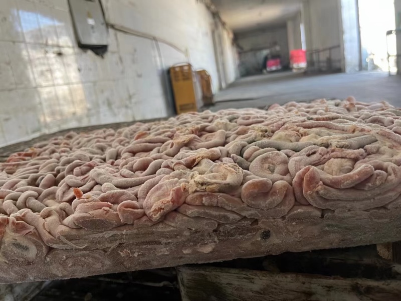 干板肉鸡肠