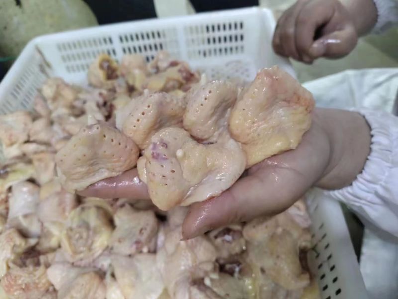 食品鸡尾，817鸡尾，公鸡尾