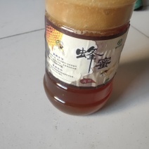 自家土蜂蜜