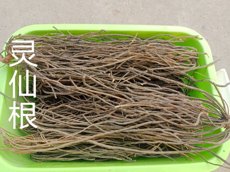 中药材，野生迷蒙花新货正品